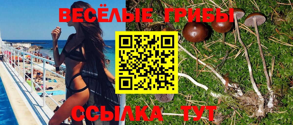 Псилоцибиновые грибы GOLDEN TEACHER Мариинск