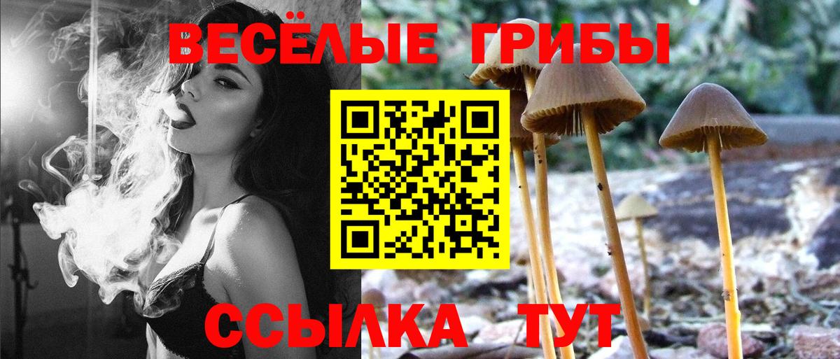 Мариинск  Псилоцибиновые грибы мицелий  Псилоцибиновые грибы Psilocybine cubensis  Вход с VPN 